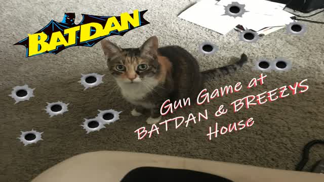 Gun Game at Batdan and Robins House