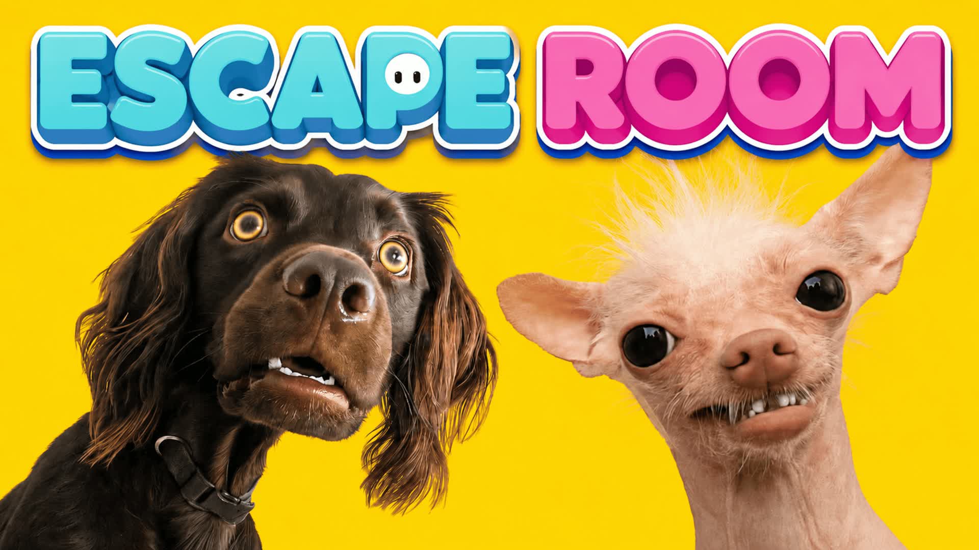 🧠 TEST YOUR IQ 200❓ ESCAPE ROOM 🚪