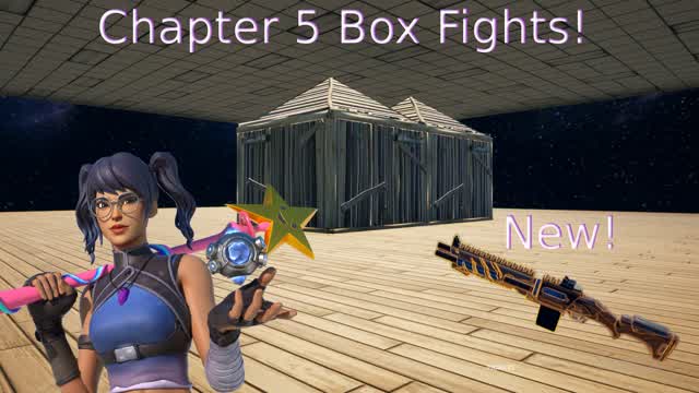 Chapter 5 Box Fights