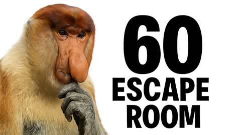60 Esacpe Room