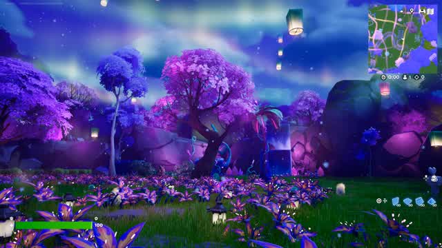 Capture 1 – Little paradise