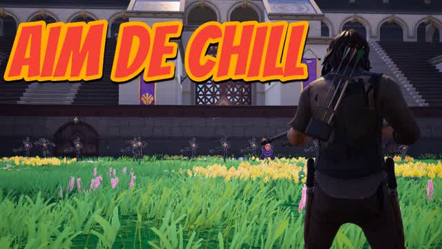 AIM DE CHILL