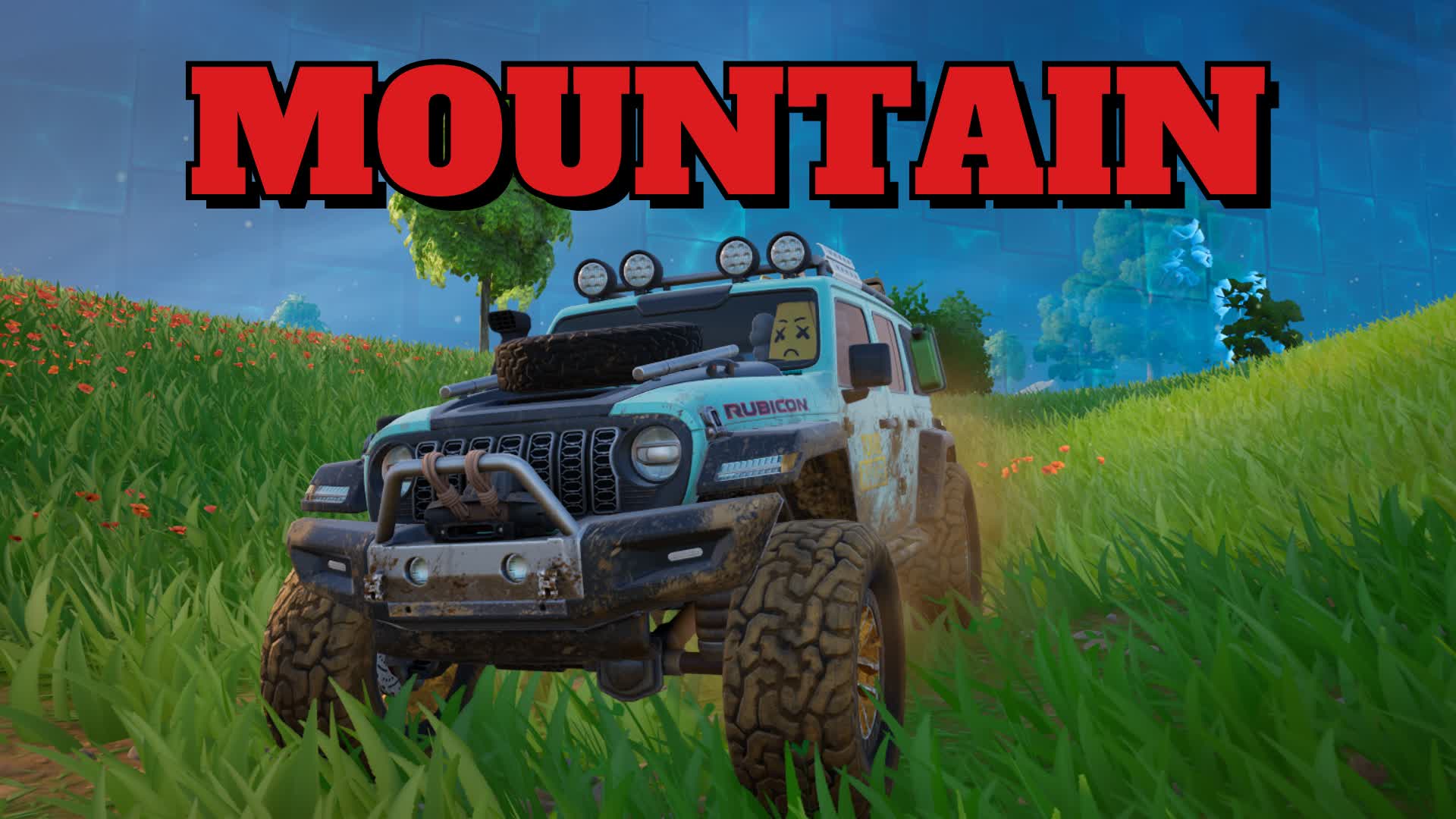 MOUNTAIN ROAD DRIVE 11