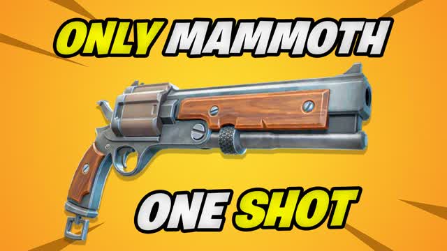 Mammoth Only 🎯 Bounce Box 📦