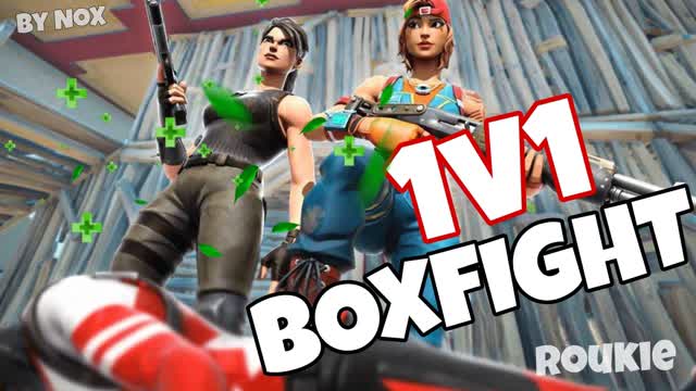 1V1 BOXFIGHT