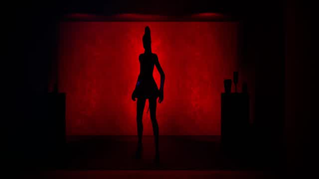 Silhouette Fortography