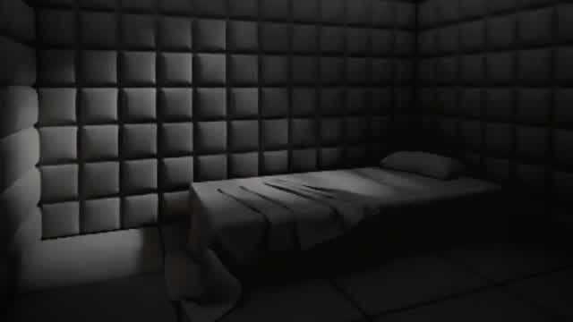 Capture 1 – Mental Asylum Simulator