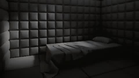 Mental Asylum Simulator