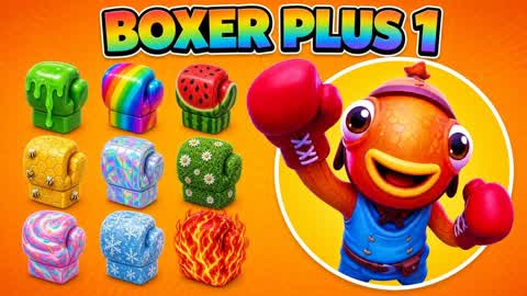 BOXER PLUS 1