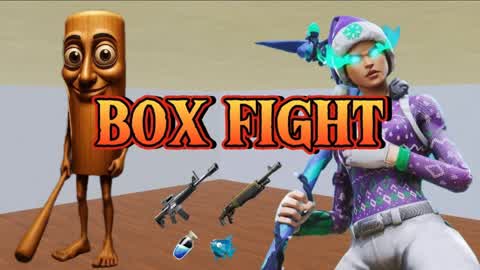 BOX FIGHT