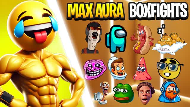 đ MAX AURA BOXFIGHTS đŠ