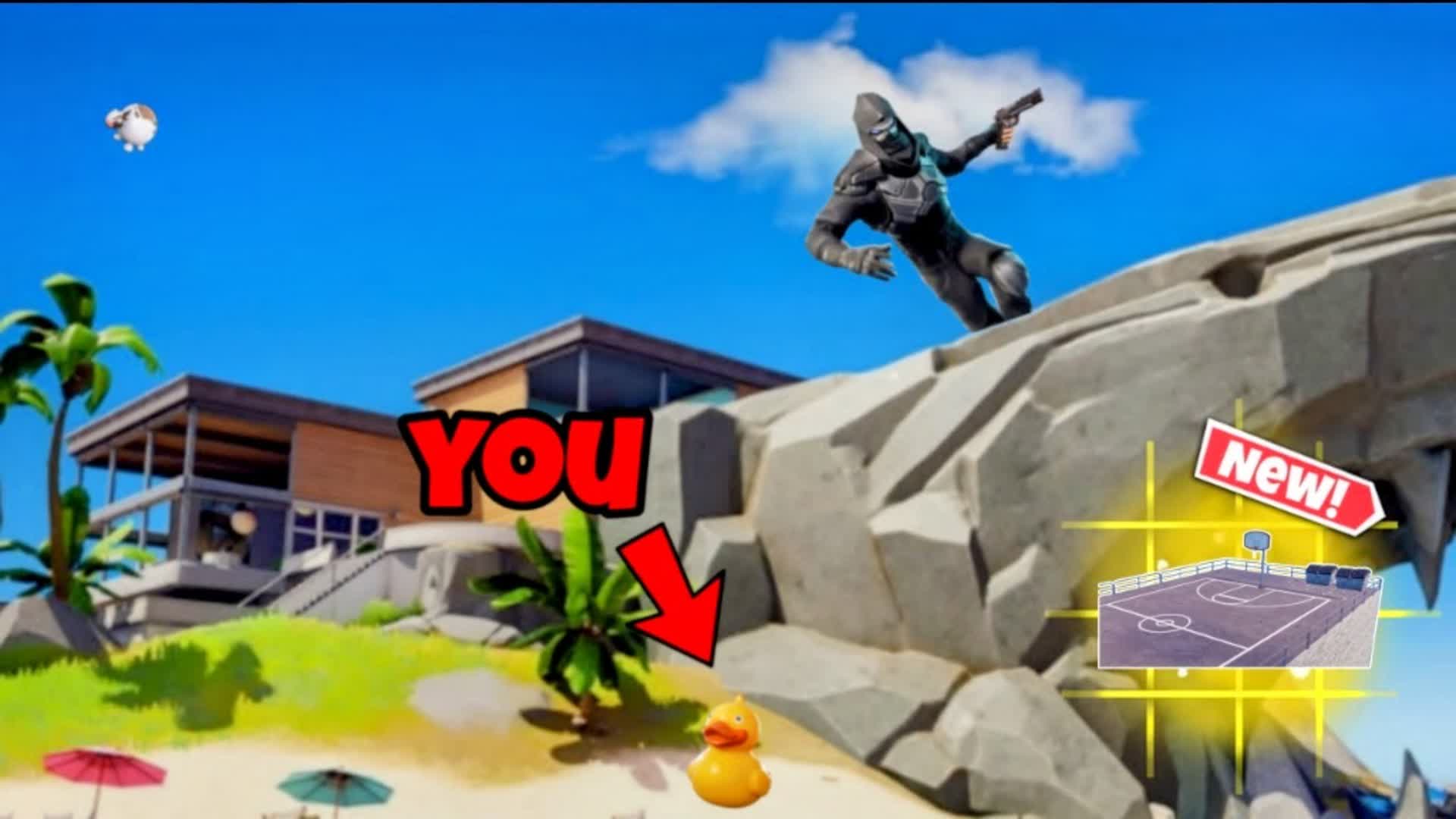 UP Hide and seek🦈