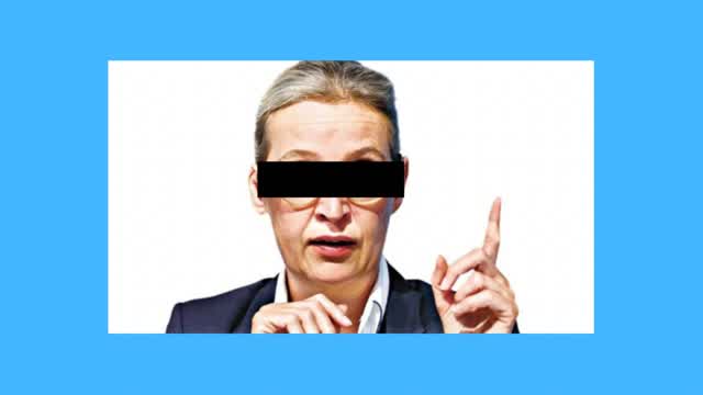 ALICE WEIDEL BOXFIGHTS