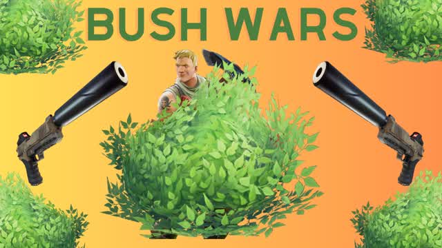 Bush Wars