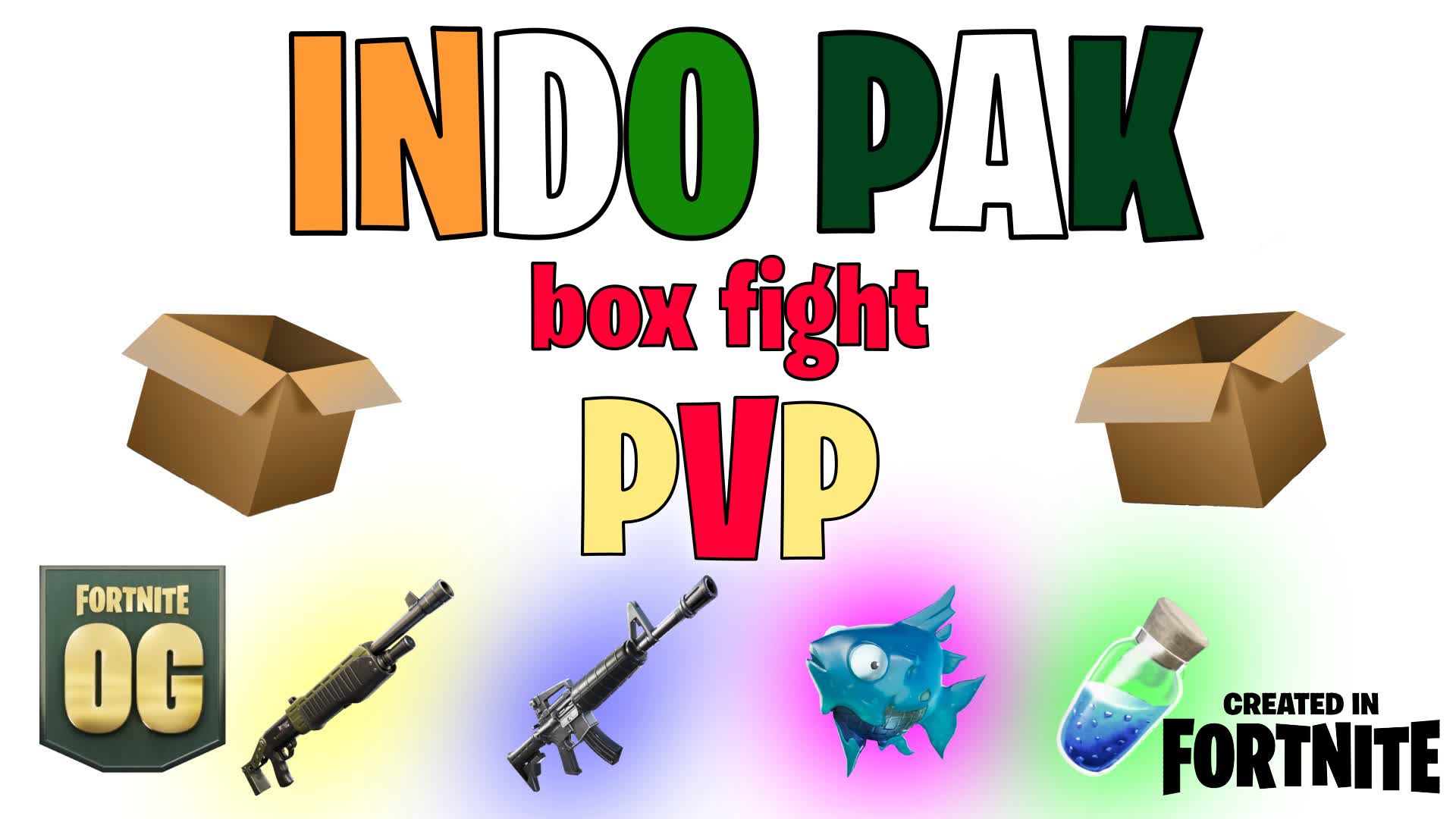 Indopak_box_figth