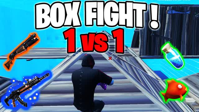 Box fight 1v1