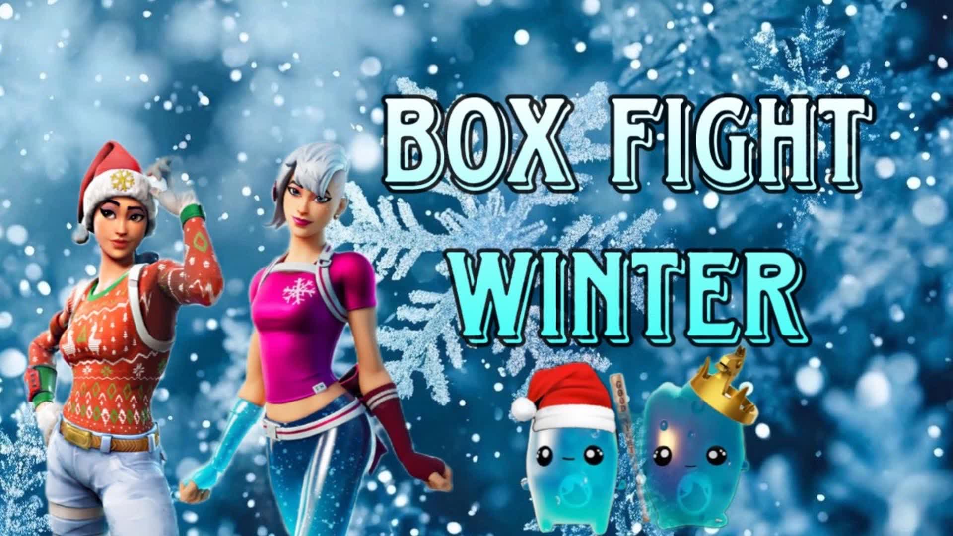 Box Fight Winter