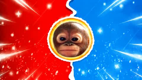 RED VS BLUE🔴🔵 KING MONKEY