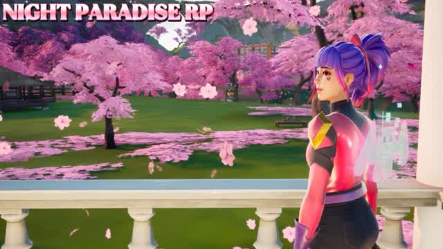 Capture 1 – NIGHT PARADISE RP