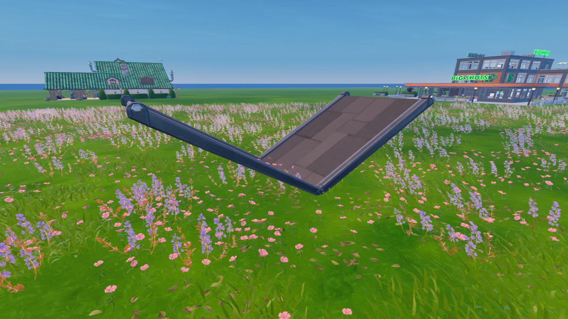 1v1 Only