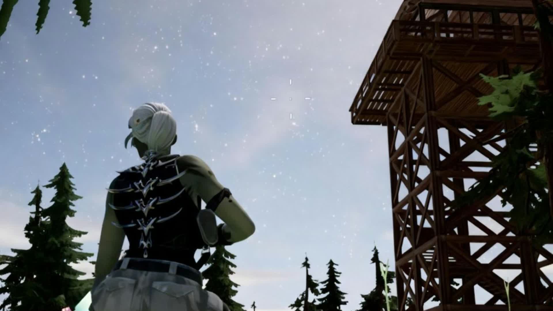 Shadows of the Pines