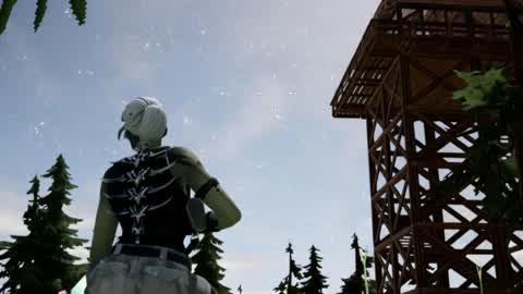 Shadows of the Pines