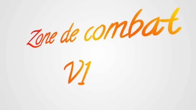 ZONE DE COMBAT