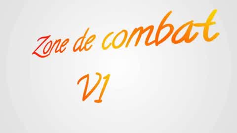 COMBAT ZONE