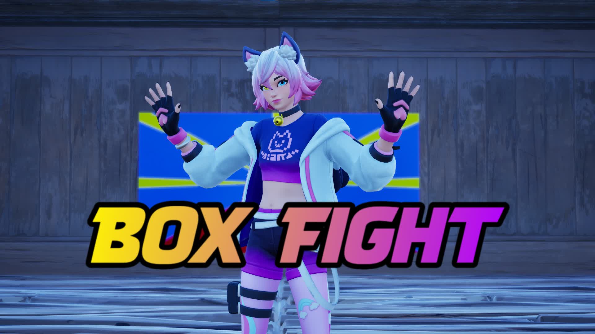 BoxFight 974