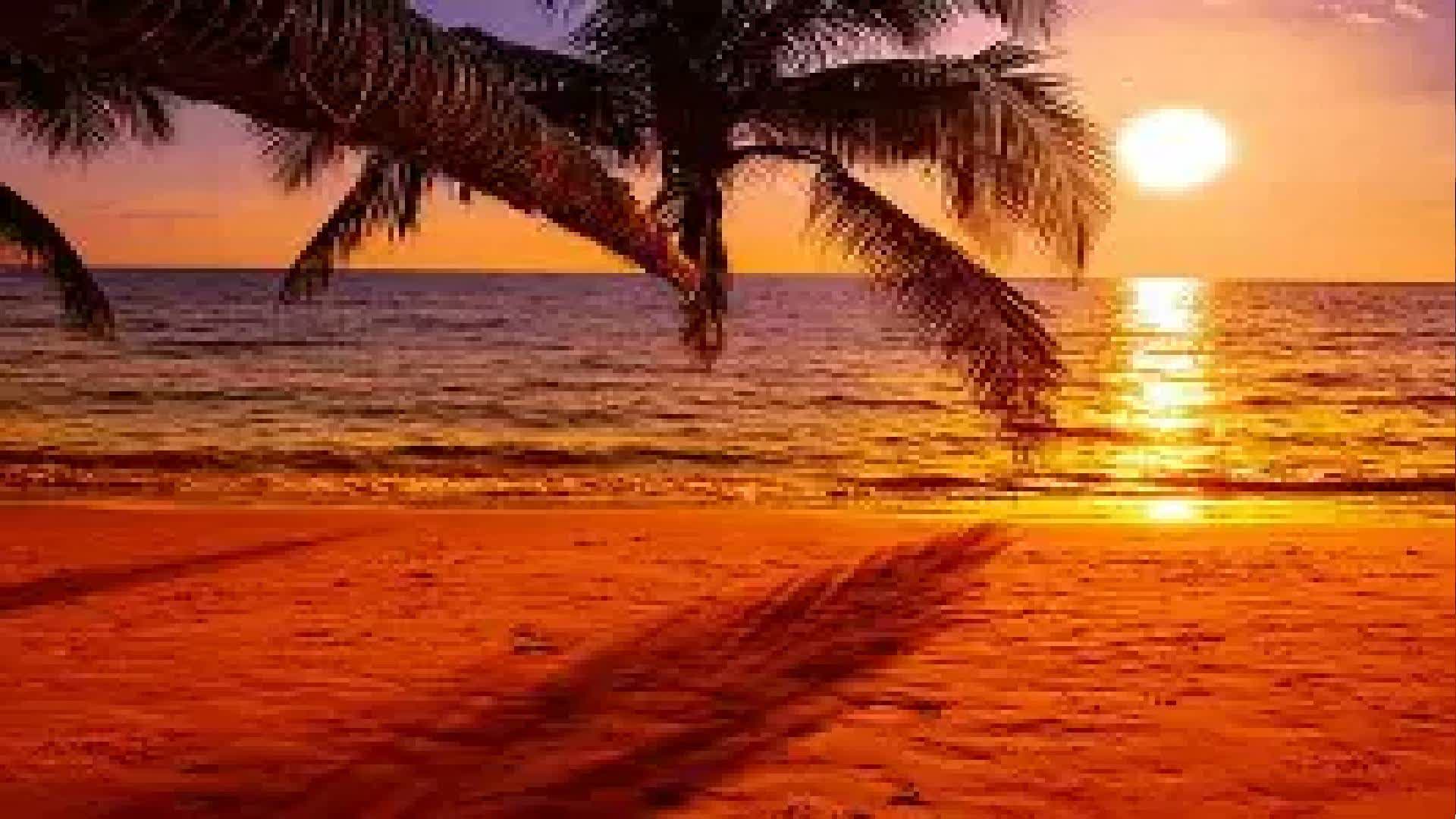 ノクトゥラRP 🌇