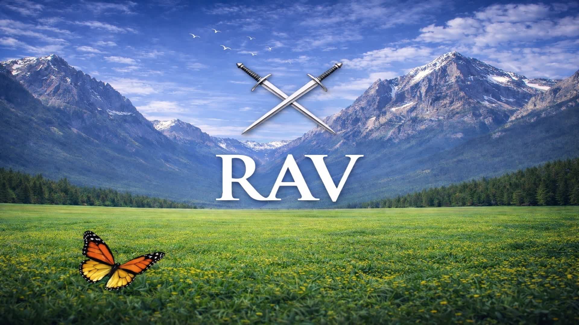 PARTY RAV