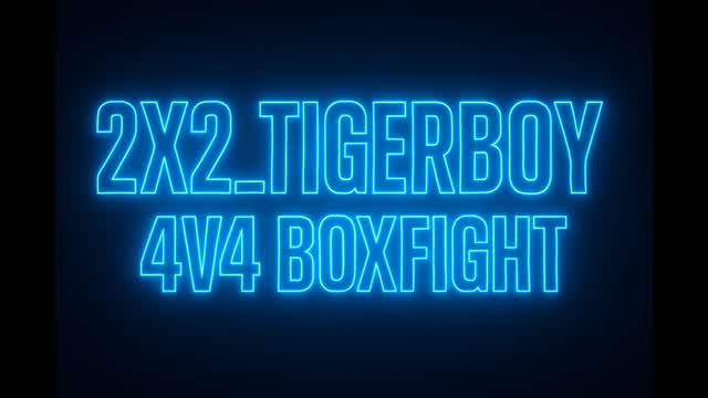 2X2 4v4 Boxfight