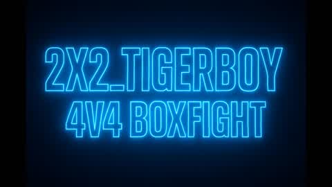 2X2 4v4 Boxfight