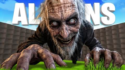OLD ALLGUNS OLD