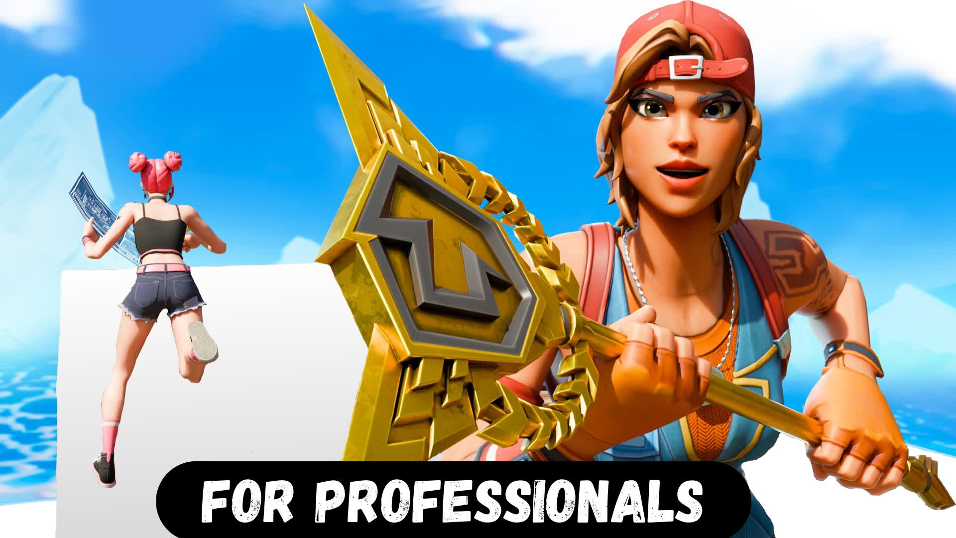 Professional 1v1 | Performance Boosted