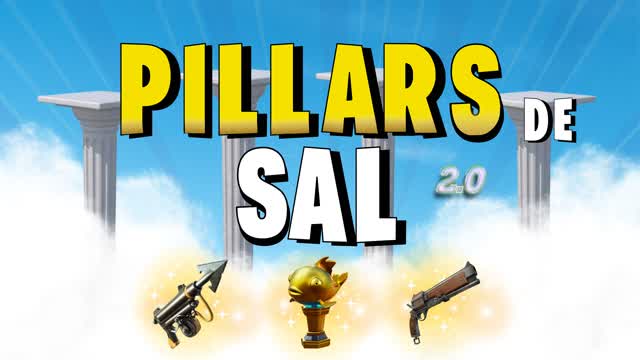 Capture 1 – Pillars de saL