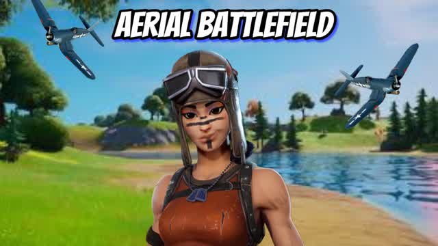 Aerial Battlefield
