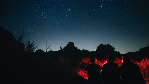 Dead By Dawn: The Farm