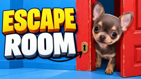 CHIHUAHUA ESCAPE ROOM