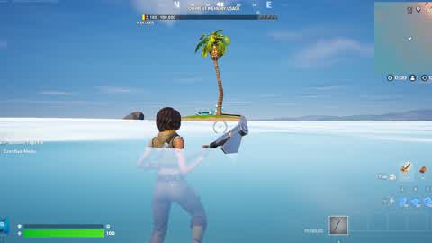 LA ISLA CON UNA SOLA PALMERA