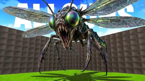 DRAGONFLY SOME MONSTERER