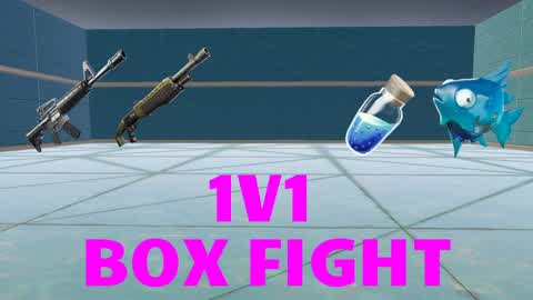 1v1 BOX FIGHT