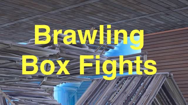 Brawling Box fights