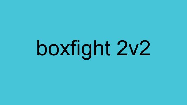 boxfight 2v2
