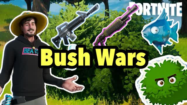 Bush Wars