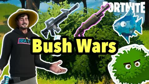 Bush Wars