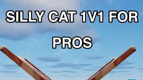 SILLY CAT 1V1 FOR PROS