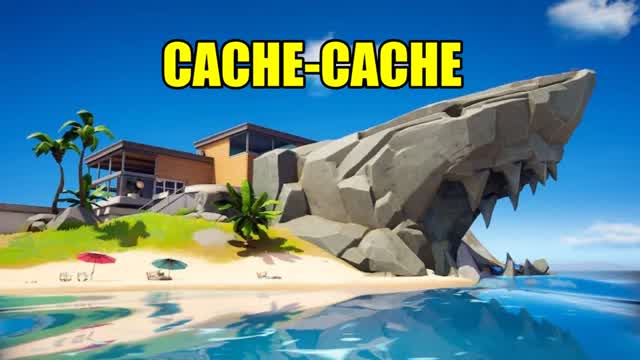 Capture 1 – CACHE-CACHE - LE REQUIN