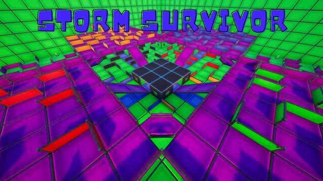 💥STORM SURVIVOR💥