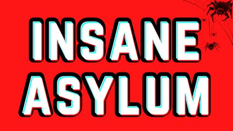 INSANE ASYLUM ESCAPE